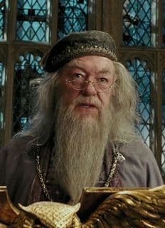 Dumbledore - Visionary character example