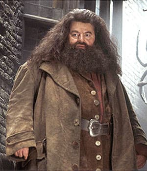 Hagrid - Connector character example