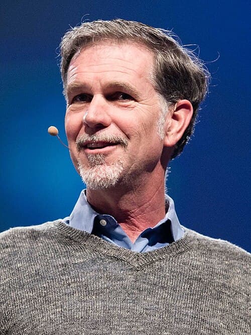 Reed Hastings - Visionary figure example