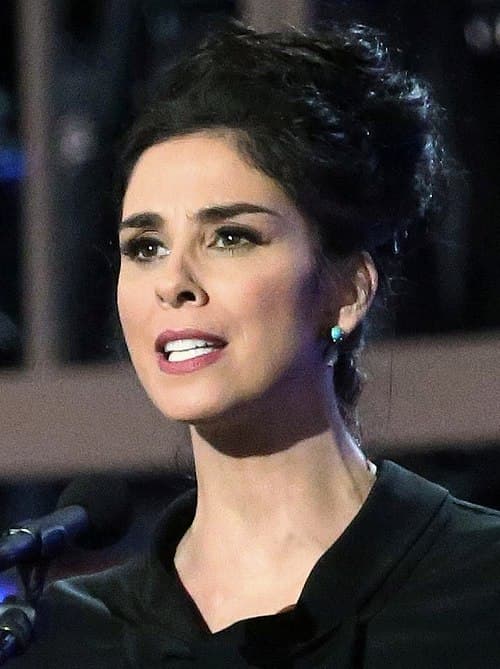 Sarah Silverman - Type 7