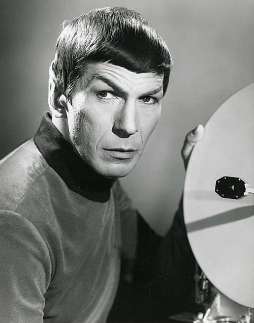 Spock - Architect character example