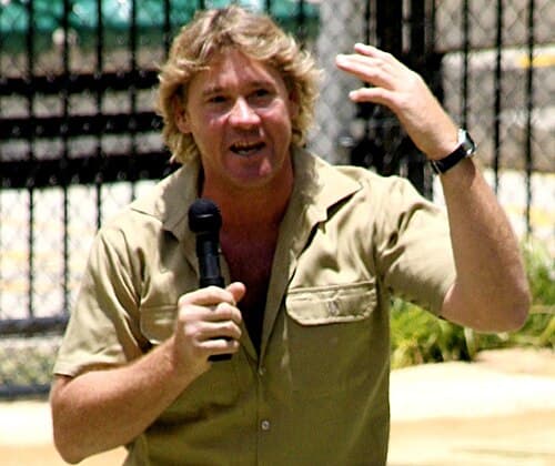 Steve Irwin - Connector figure example