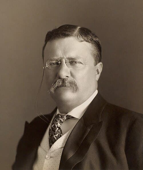 Theodore Roosevelt - ESTP