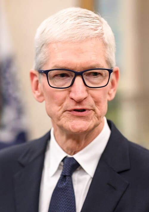 Tim Cook - Strategist figure example